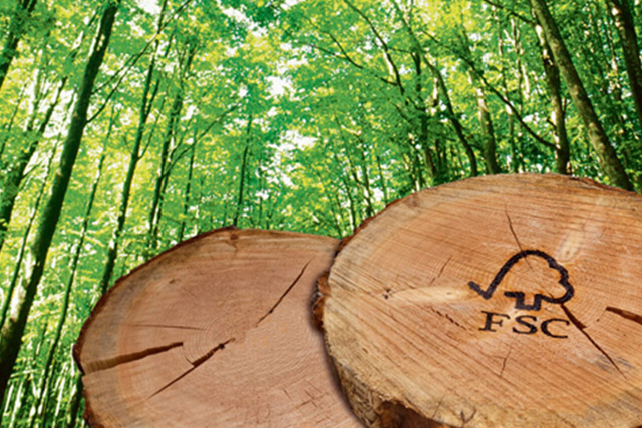 Wood sourced from FSC-certified companies for the construction of the new Bovisa-Goccia Campus of the Milan Polytechnic University of Technology