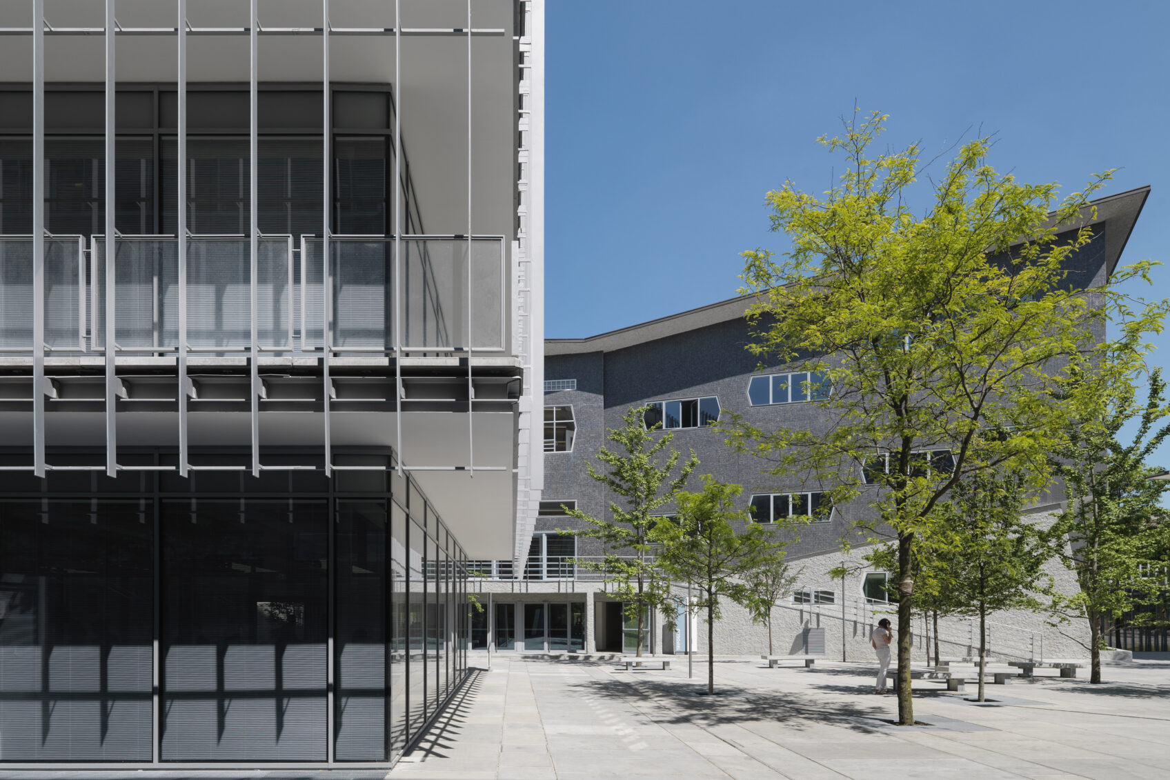 Dettaglio facciata ed aree verdi nuovo Campus Leonardo facoltà di Architettura Politecnico di Milano